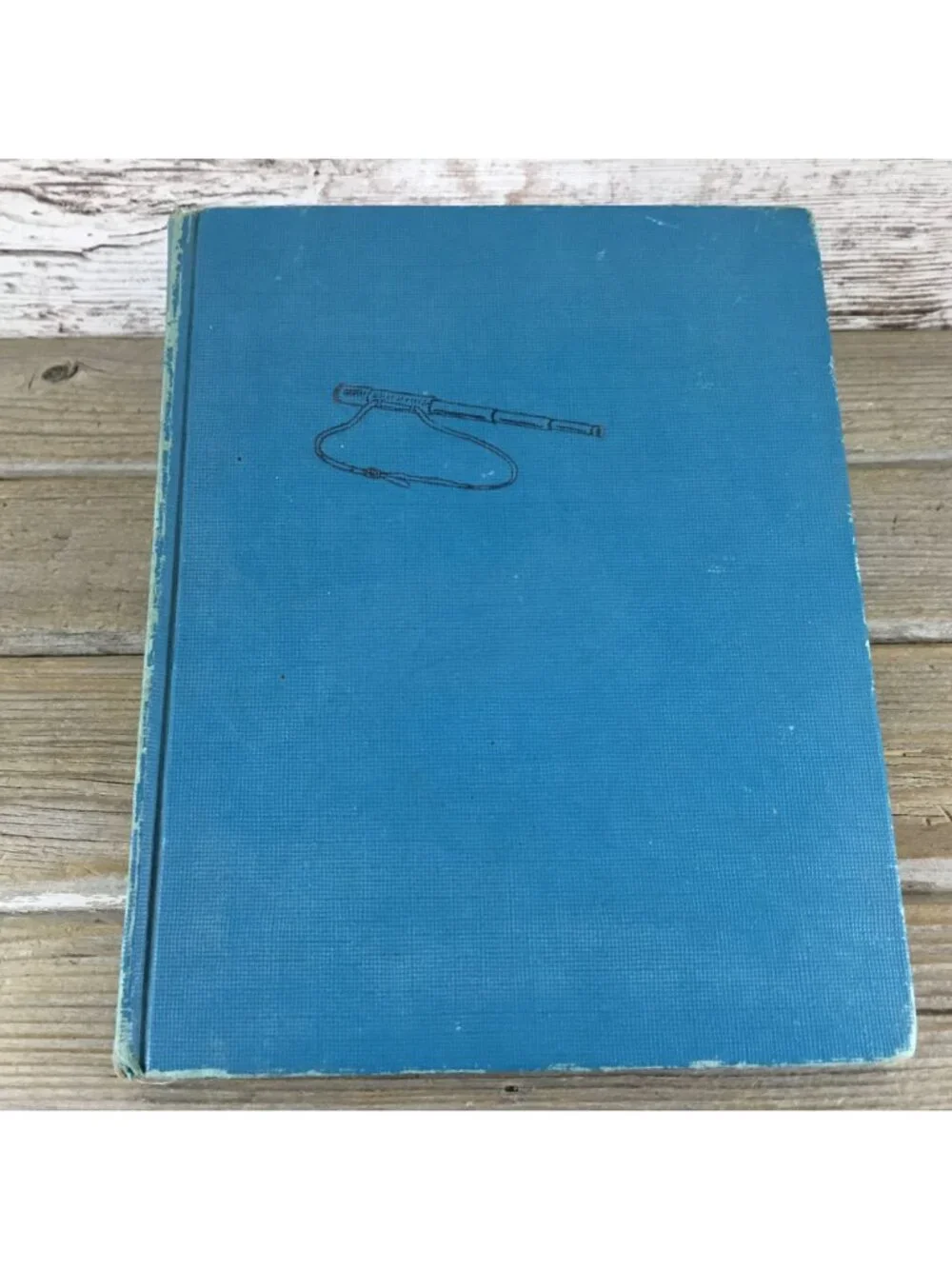 Vintage 1957 A Dog for Davie’s Hill by Clare Bice – Blue Hardcover